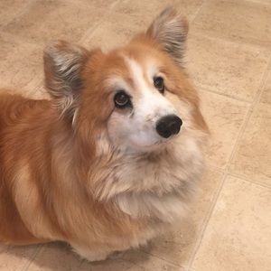 Meet your Posher, Jayne